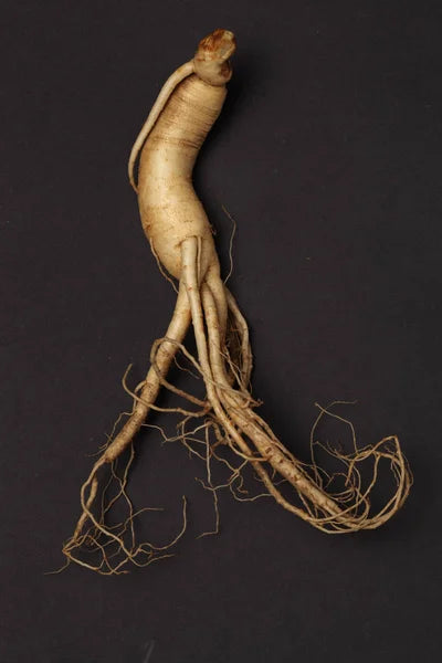 Ginseng